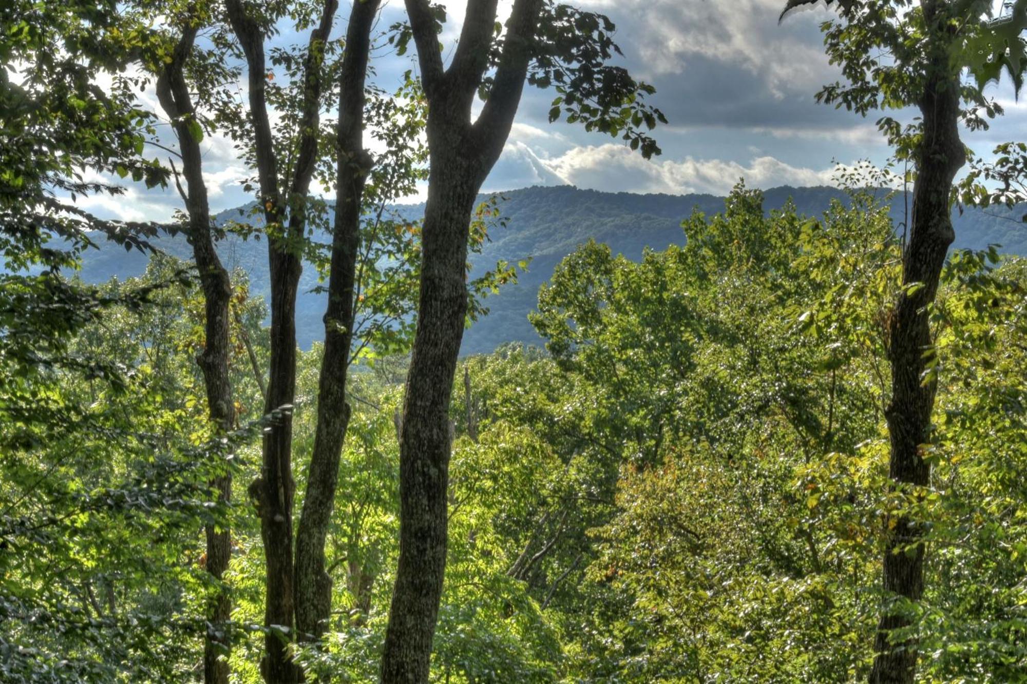Bearfoot Ridge Wood-Burning Fireplace Cozy Hot Tub Serene Views Эллиджей Экстерьер фото